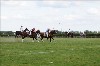 UKPA  NC Sat_1588